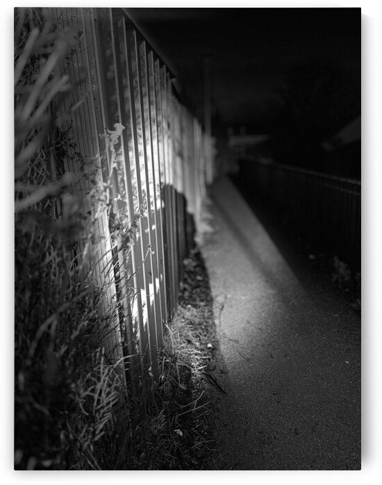 Everyday Lifes Moments -Scottish Highlands Night Shadows  by Catriona Roberts Nature Photography and Designs