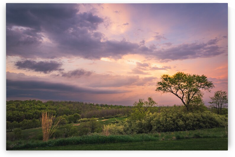 Glowing Sunset Over Green Hills by Jason Fink
