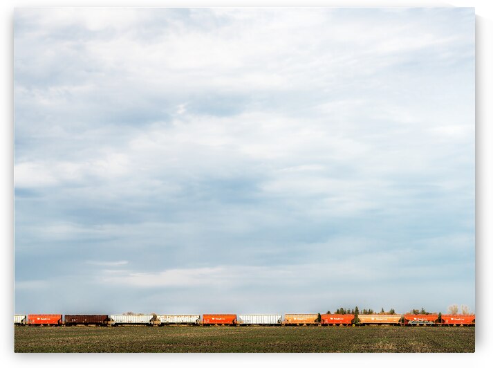 Train by Mark Schacter