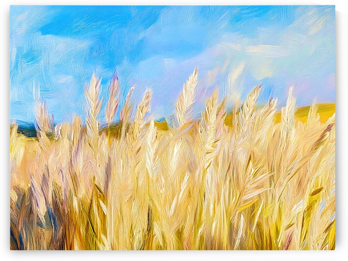 Wheat Field by Travelling Light
