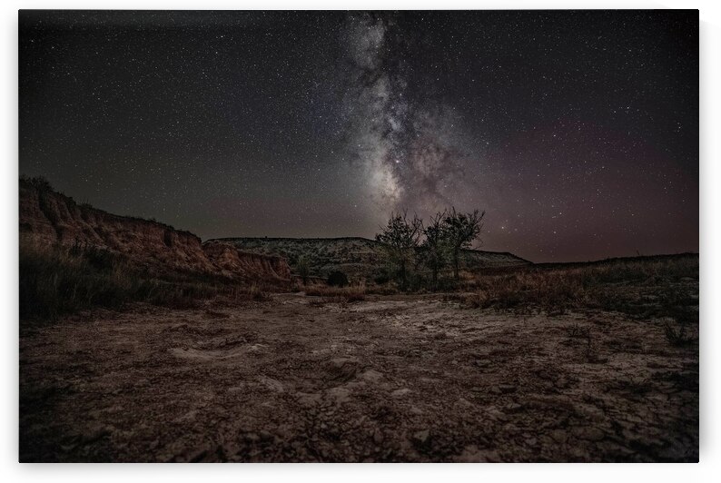 Allosaurus Tracks at Nightfall 2 1 by Adrian Bradley