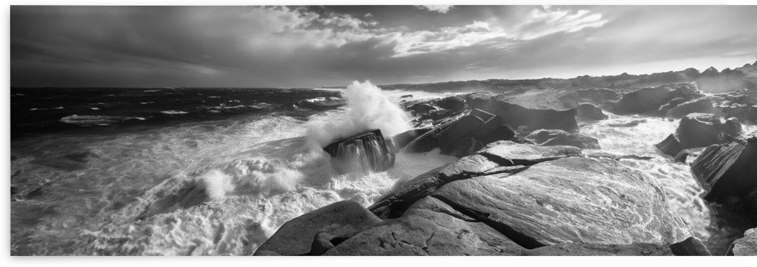 Eastern Point in East Gloucester MA BW by Frank Wilson