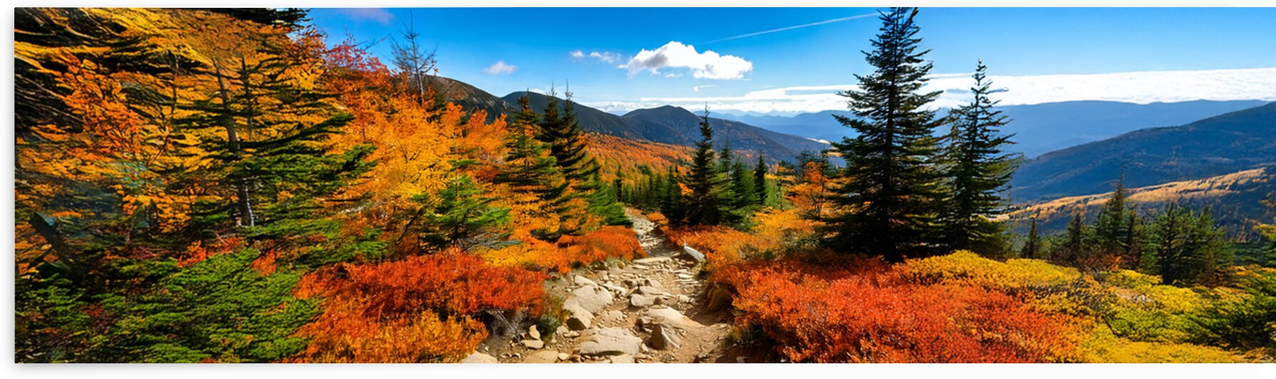 A Rocky Hiking Mountain Trail by Frank Wilson