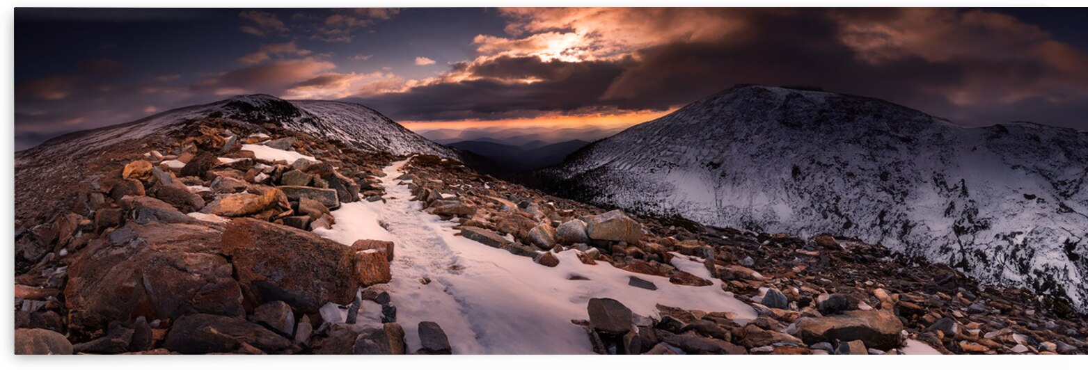 Above Timberline  by Frank Wilson