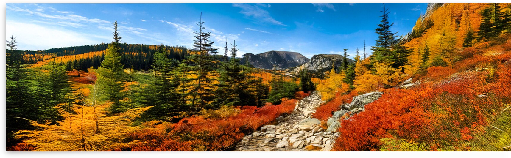 Beautiful Trail In Autumn by Frank Wilson