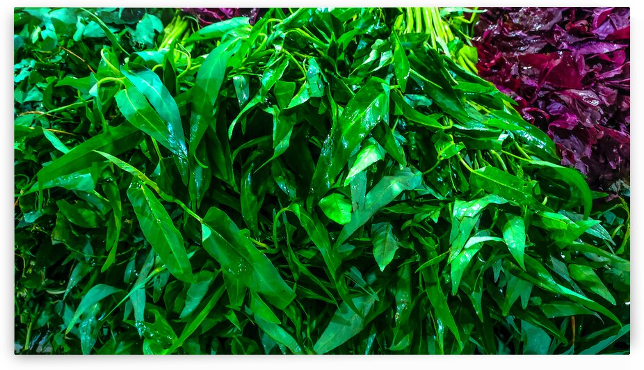 Freshly Harvested Green Vegetables by urbancamshot