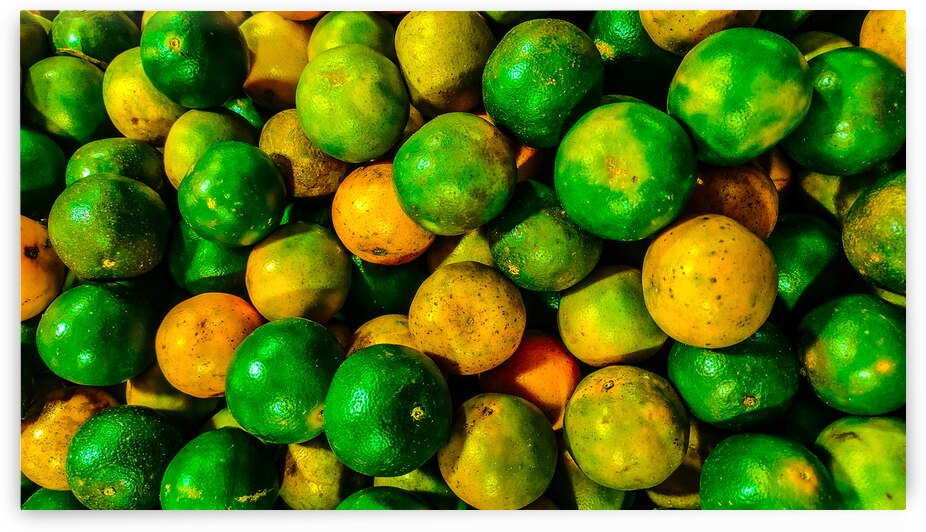 Fresh Citrus Fruits in Various Stages of Ripeness by urbancamshot