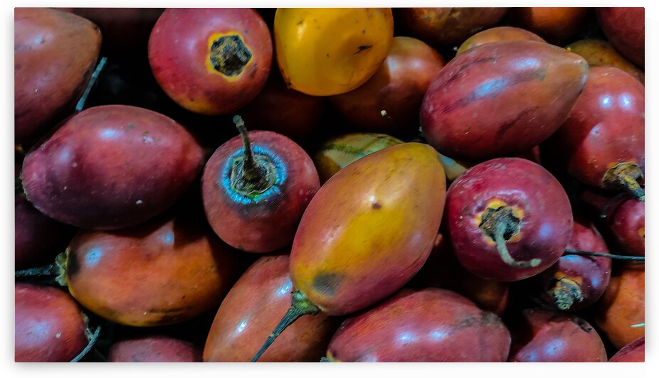 Vibrant Fresh Tamarillo Fruit Display by urbancamshot