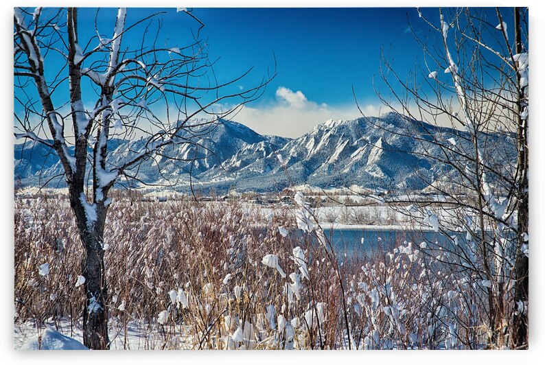 Boulder Colorado Winter Season Scenic View by Bo Insogna