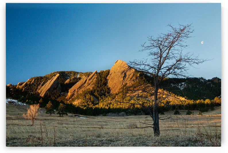 Boulder Colorado Flatirons Early Morning Light by Bo Insogna
