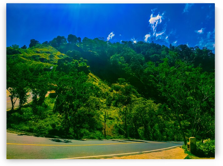 Winding Mountain Road Surrounded by Lush Greenery by urbancamshot