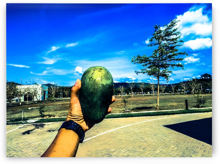 Holding a Large Green Mango Outdoors by urbancamshot