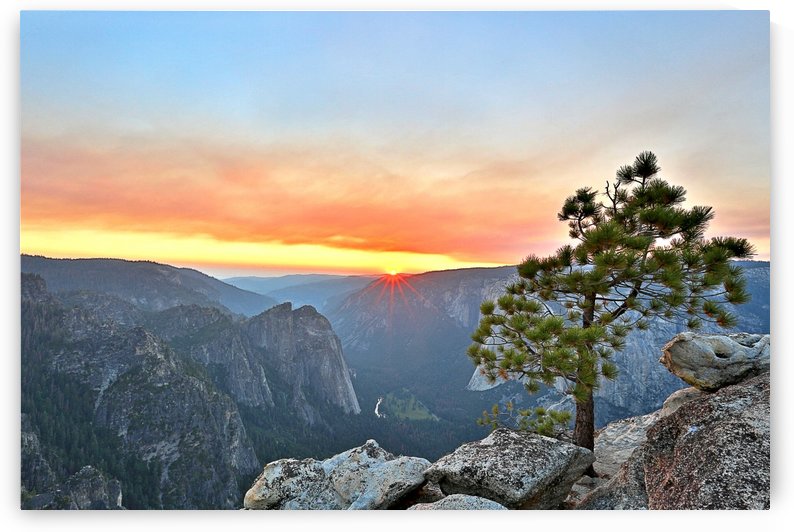 Dream in Your Heart by Jongas Photo