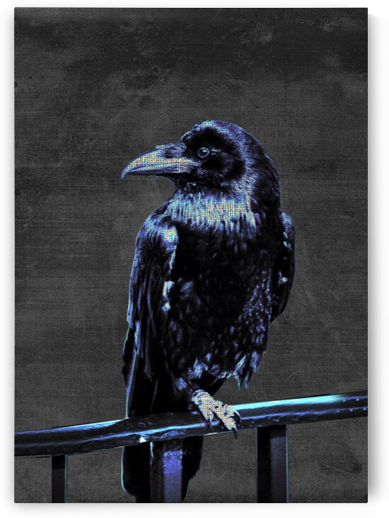 Blue Crow by Kiyo Arts