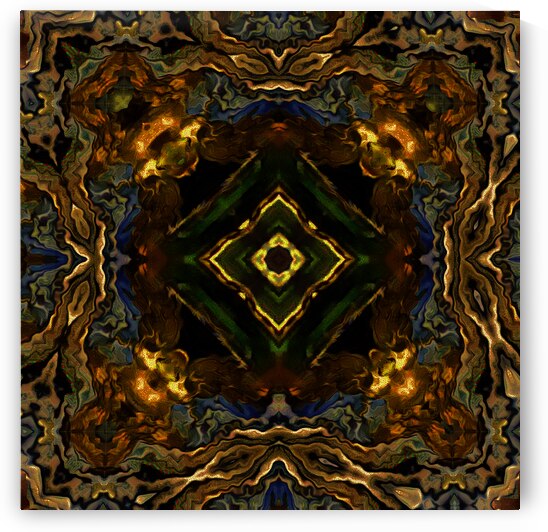 Abstract Swirl Kaleidoscope Flow  by Catriona Roberts Nature Photography and Designs