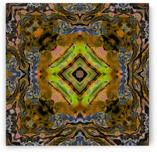 Abstract Diamond Kaleidoscope Flow by Catriona Roberts Nature Photography and Designs