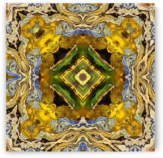 Abstract Earthy Kaleidoscope Flow by Catriona Roberts Nature Photography and Designs