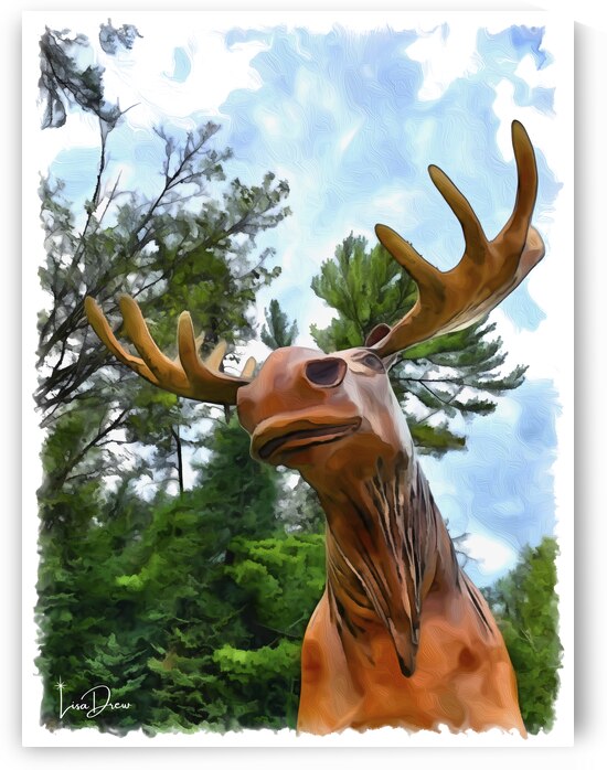 Minnesota Moose by Lisa Drew