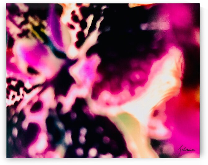 Mauve orchidee  by Jolabis 