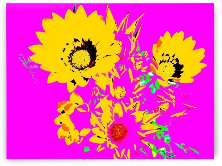 Rainbow Flower - Pink by Lexa Harpell