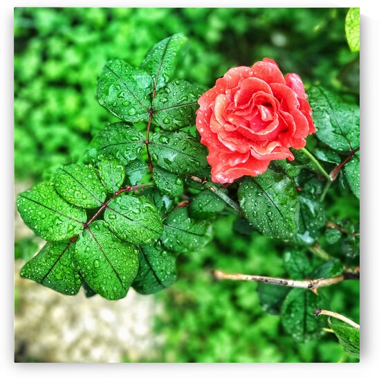 World6 by Eddy Tales