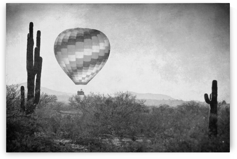 Hot Air Balloon Flight over Southwest Desert BW Fine Art Print   by Bo Insogna