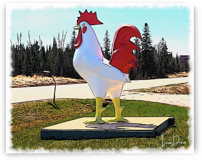 Why Didnt the Chicken Cross the Road by Lisa Drew