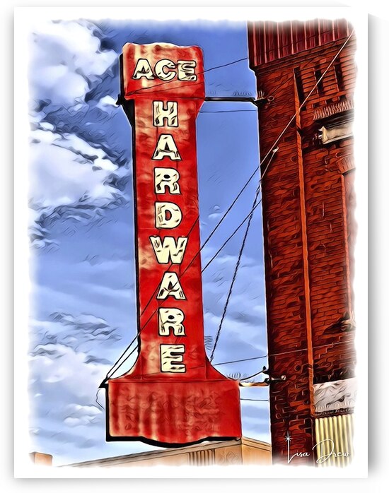 Ace is the Place by Lisa Drew