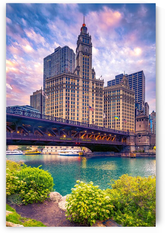 The Wrigley by Geoffrey Prior