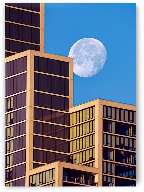 Moon Bounce by Geoffrey Prior