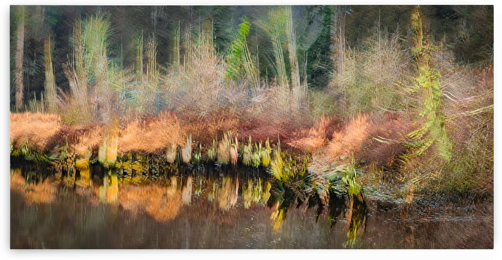 Whispers Along the Waterline by Kim Hexter Photography