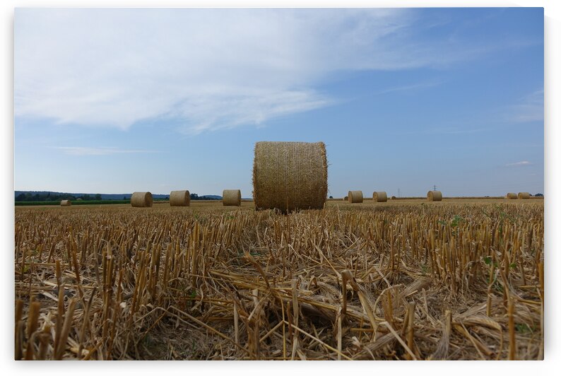 alone among others by Carinou Art