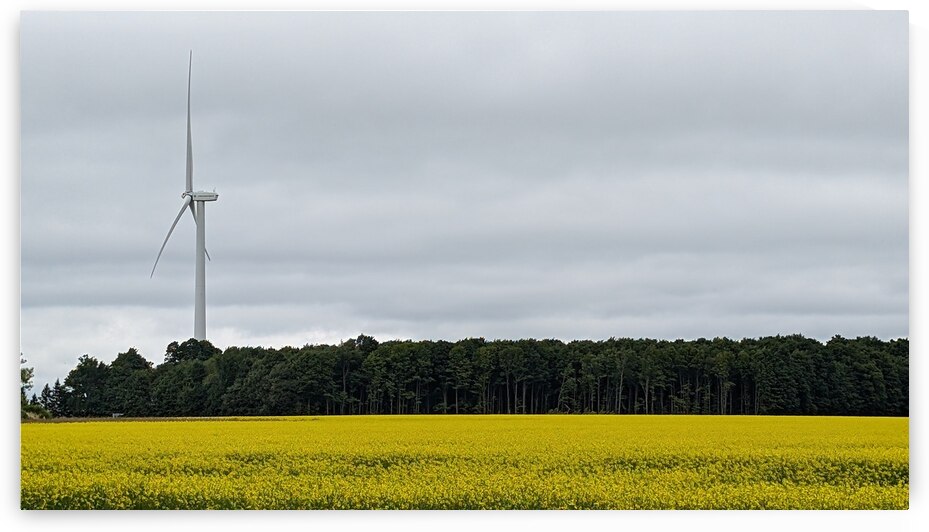 SouthernOntario by Neeraj Kumar