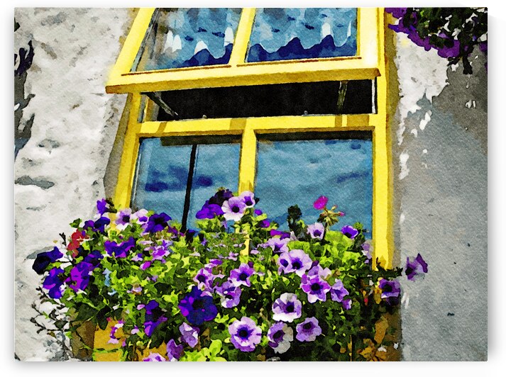 Charming yellow window with flowers on Inishmore Island by Gestalt Imagery