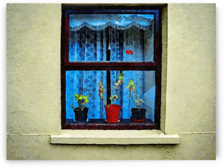 Charming window view with potted plants in Dingle Ireland watercolor art by Gestalt Imagery