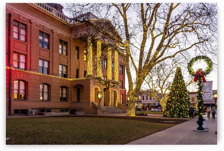Entrance to Williamson County Courthouse in Georgetown TX by Steve Heap