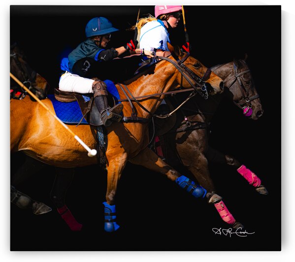 BZ9 2110 Enhanced NR by Susan Lynn Cooke