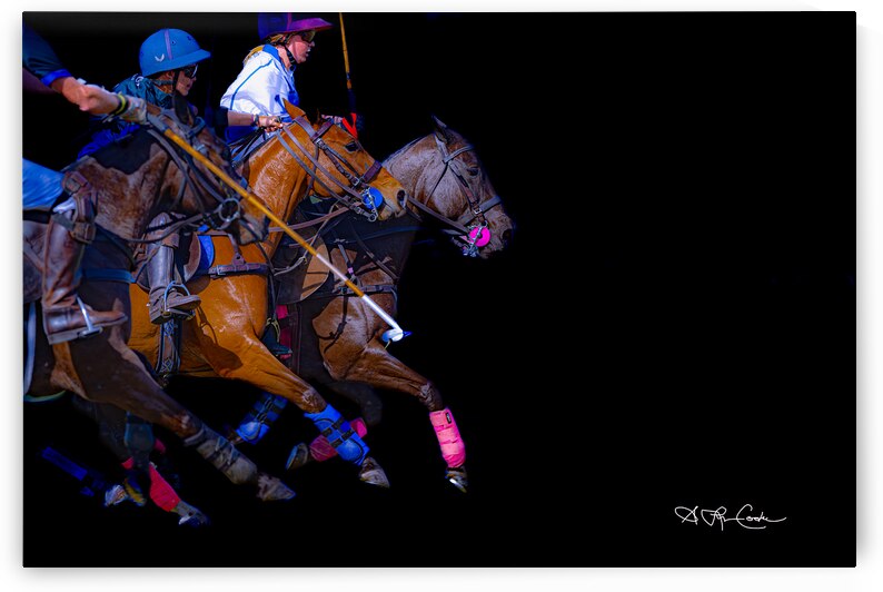 BZ9 2113 Enhanced NR by Susan Lynn Cooke