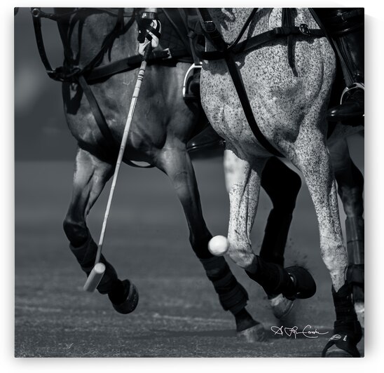 BZ9 2230 Enhanced NR 4 by Susan Lynn Cooke