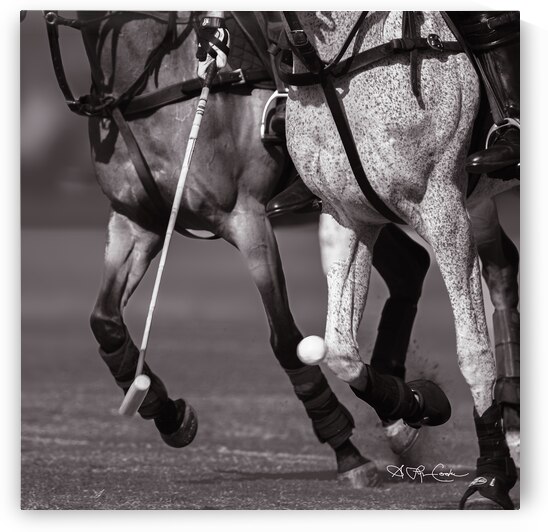 BZ9 2230 Enhanced NR 3 by Susan Lynn Cooke