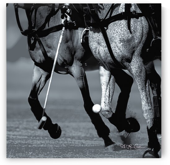 BZ9 2230 Enhanced NR 2 by Susan Lynn Cooke