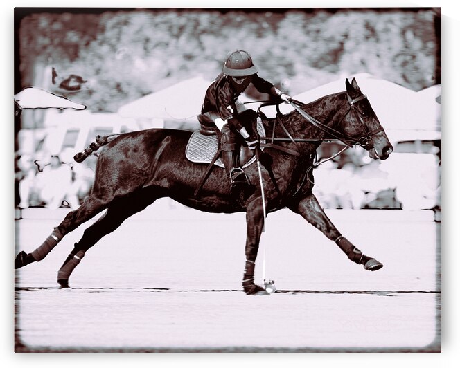 BZ9 2453 Enhanced NR by Susan Lynn Cooke