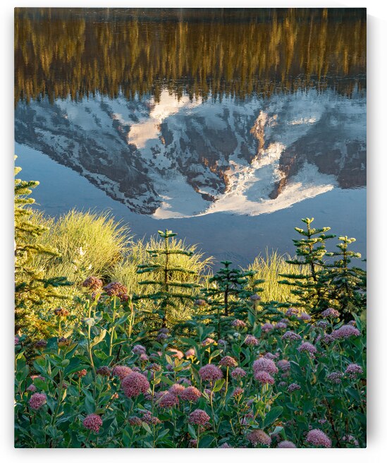 Vertical Reflection by Geoffrey Prior