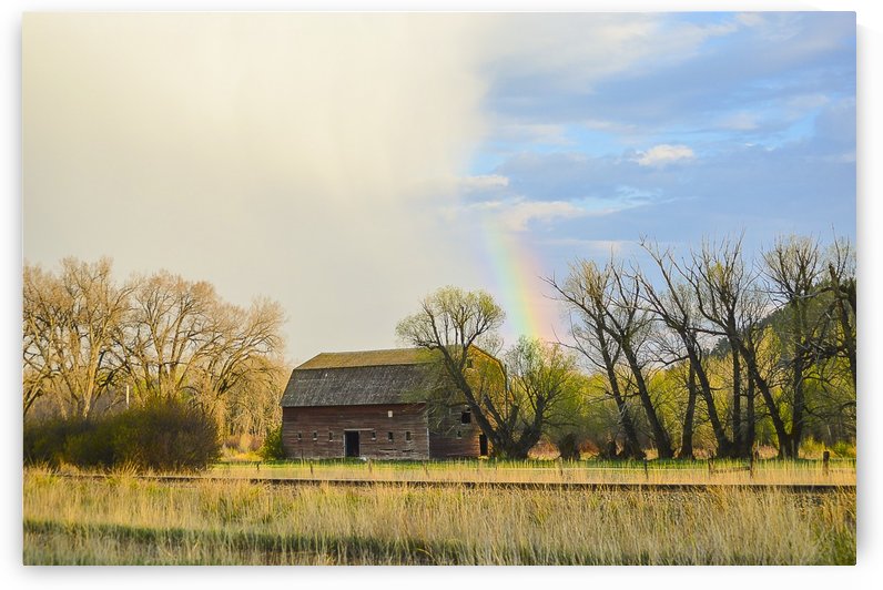 Springtime by Scene Again Images: Photography by Cliff Davis