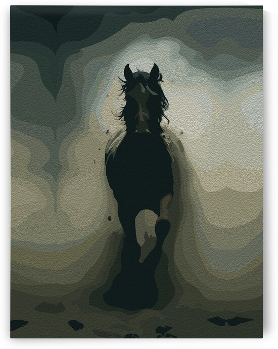 Powerful Black Stallion in Motion by Ramy Salah Hefny