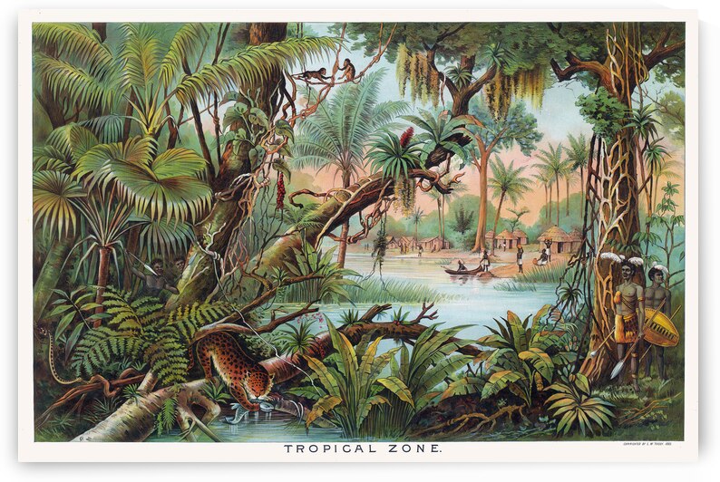1893 Educational Chart of the Tropical Zone Showing Rainforest Distribution Climate and Vegetation in Equatorial Regions for Scientific Classrooms by History In Your Home