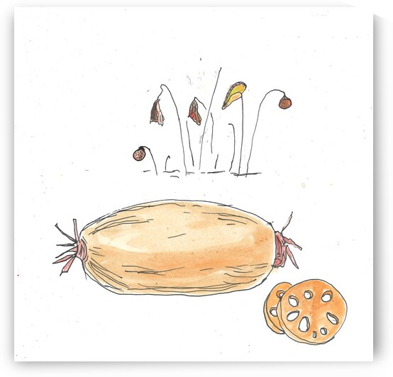 Lotus Root by Robert Burton