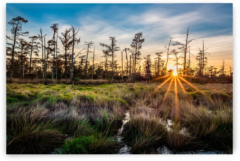 Bonnet Carré Sunset by Andy Crawford