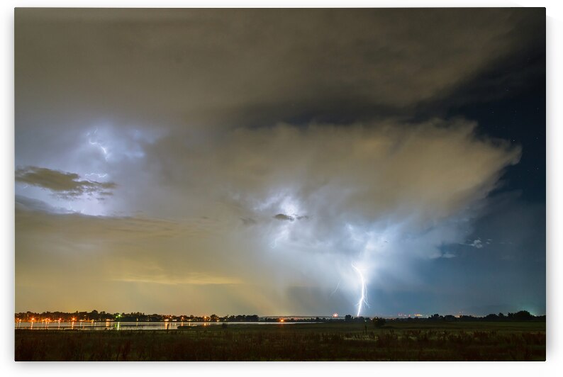 Natures Wrath by Bo Insogna