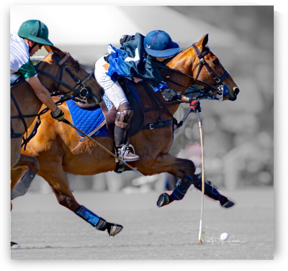 BZ9 6956 Enhanced NR 3 by Susan Lynn Cooke